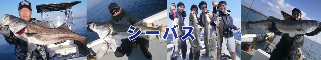 シーバス