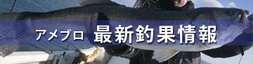 最新釣果情報